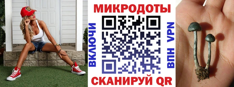Псилоцибиновые грибы GOLDEN TEACHER сколько стоит Красный Холм