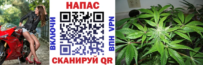 Канабис White Widow  Красный Холм 